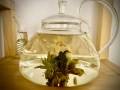 Czajnik Szklany Blooming Tea,pojemność ok. 1,2L3
